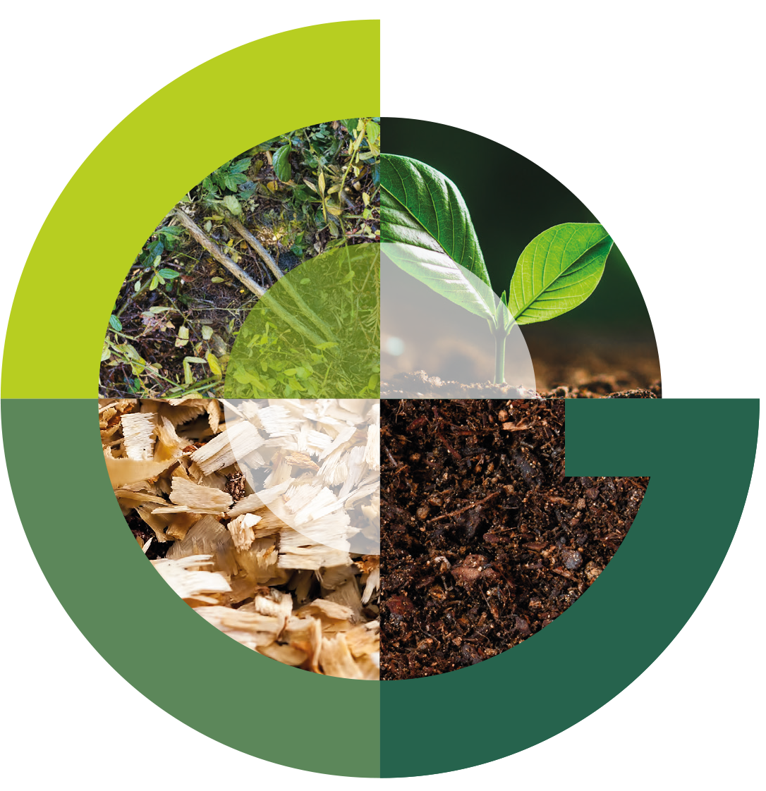 Impatto sul territorio