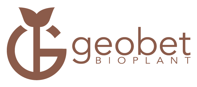 Geobet Logo